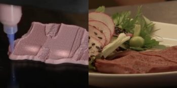Novameat: la carne vegetale stampata in 3D diventa una realtà