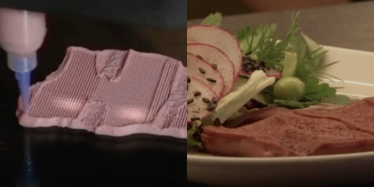 carne 3d