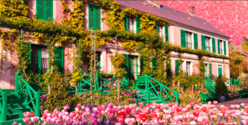 Monet e la sua Giverny: «Devo ai fiori l’essere diventato un pittore»