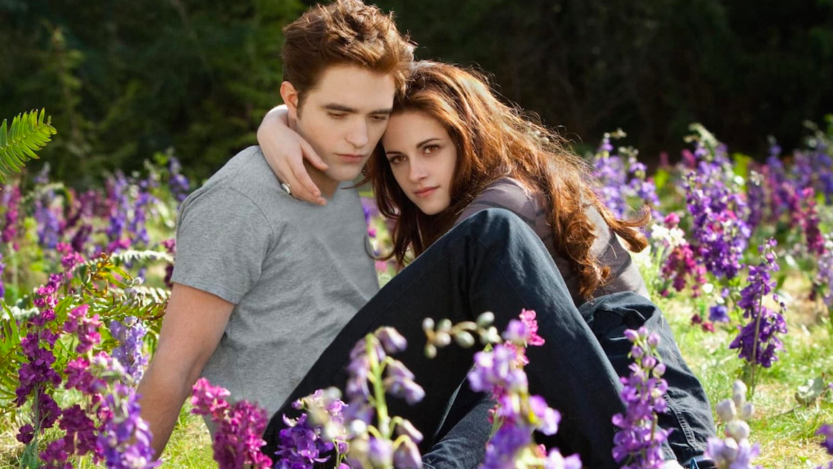 Minight Sun, Twilight. Il libro finale della saga è tra noi e sotto il sole... brilla