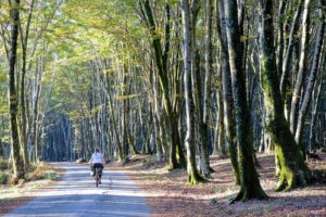 Il 2021 sarà l’anno della bicicletta