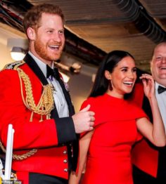 Harry e Meghan “senza più titoli”: gli oppositori non hanno fatto i conti con le leggi reali