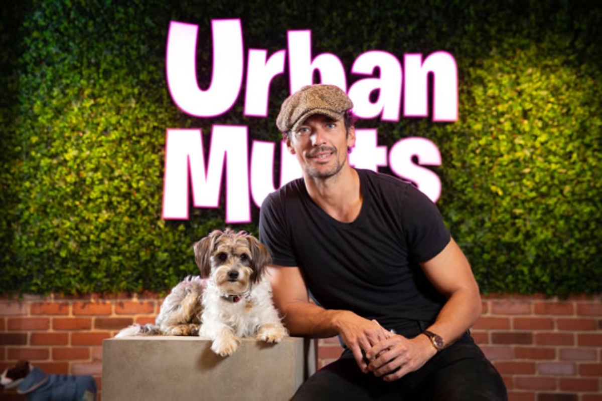 Urban Mutts