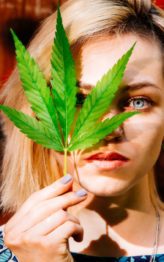 Semi di cannabis: cosa dice la legge