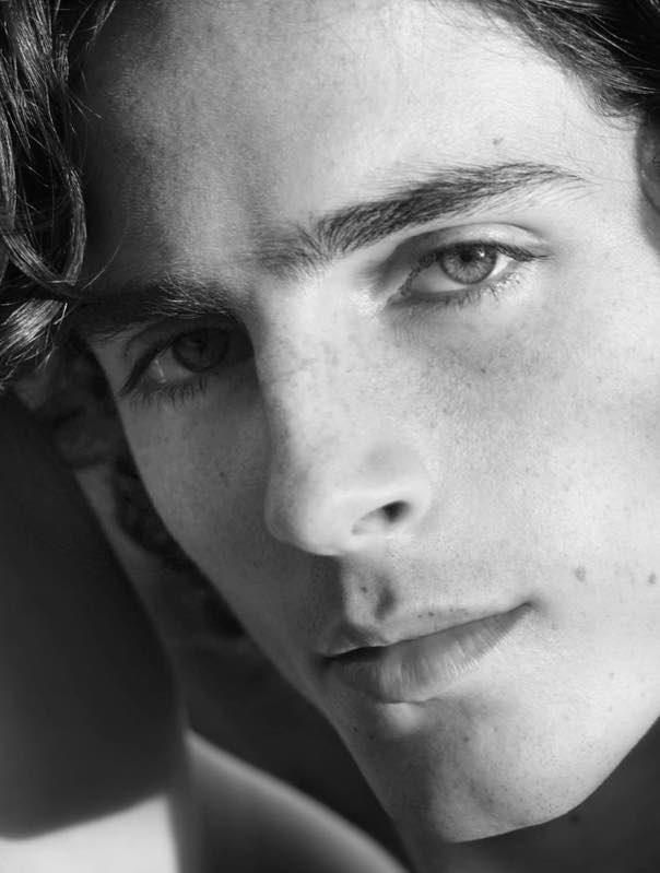 Timothée Chalamet 