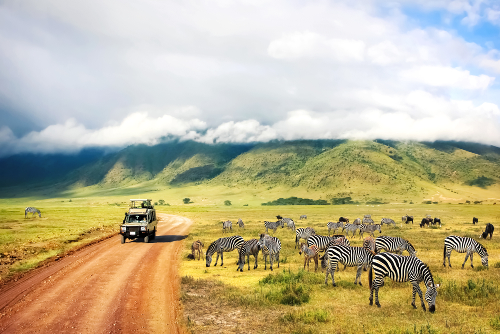 Come prepararsi a un safari in Africa