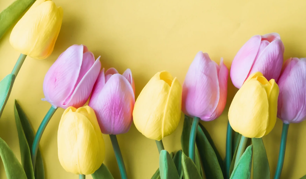 Cosa dicono i fiori a San Valentino?