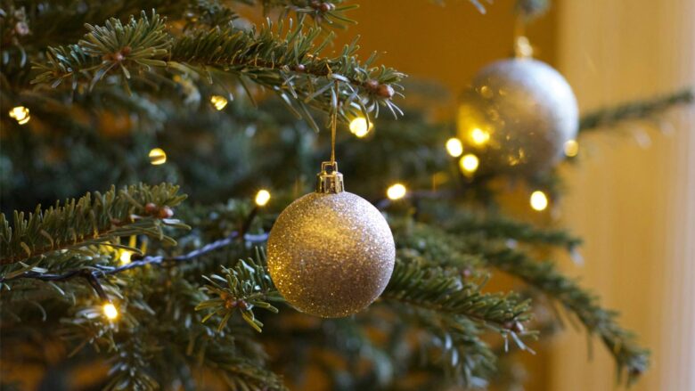 alberi di natale vip 2024