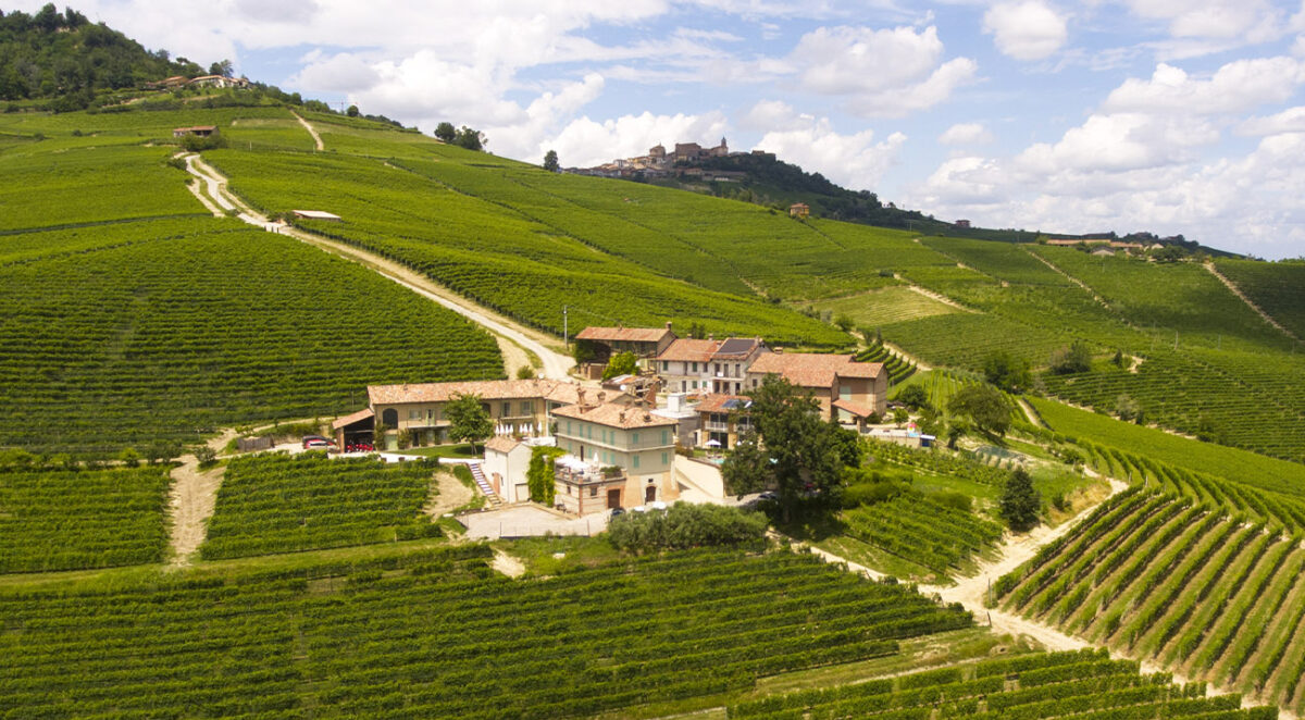 Wine Resort